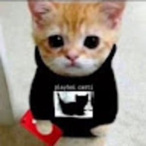 Meet your Posher, Tavo